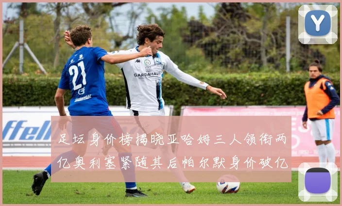 足坛身价榜揭晓亚哈姆三人领衔两亿奥利塞紧随其后帕尔默身价破亿