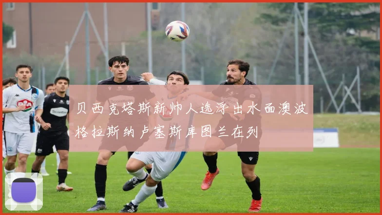 贝西克塔斯新帅人选浮出水面澳波格拉斯纳卢塞斯库图兰在列